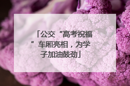 公交“高考祝福”车厢亮相，为学子加油鼓劲