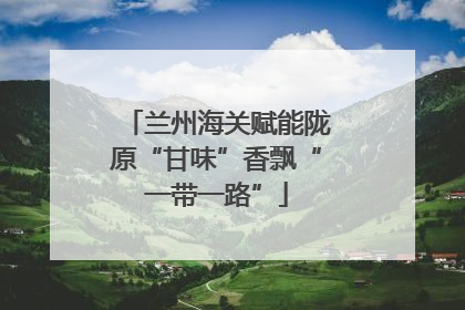 兰州海关赋能陇原“甘味”香飘“一带一路”