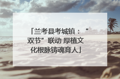 兰考县考城镇：“双节”联动 厚植文化根脉铸魂育人