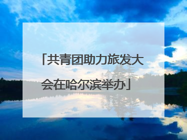 共青团助力旅发大会在哈尔滨举办
