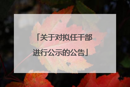 关于对拟任干部进行公示的公告