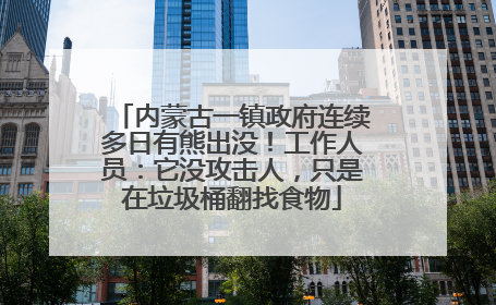 内蒙古一镇政府连续多日有熊出没！工作人员：它没攻击人，只是在垃圾桶翻找食物