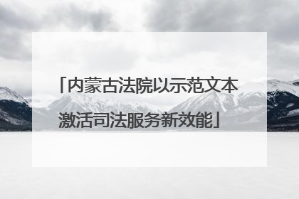 内蒙古法院以示范文本激活司法服务新效能