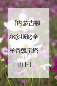 内蒙古鄂尔多斯烤全羊香飘宝塔山下