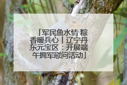军民鱼水情 粽香暖兵心丨辽宁丹东元宝区：开展端午拥军慰问活动
