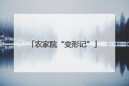 农家院“变形记”