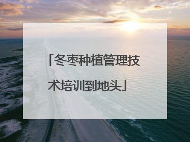 冬枣种植管理技术培训到地头
