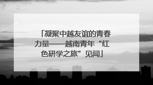 凝聚中越友谊的青春力量——越南青年“红色研学之旅”见闻