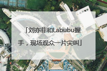 刘亦菲和Labubu握手，现场观众一片尖叫