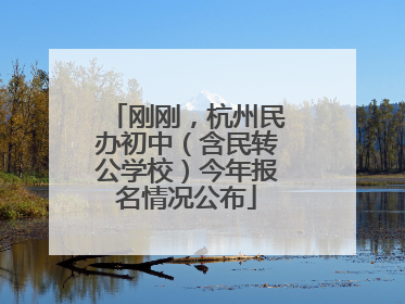 刚刚，杭州民办初中（含民转公学校）今年报名情况公布