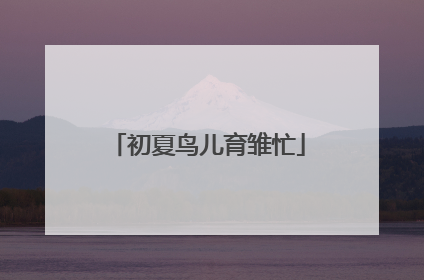 初夏鸟儿育雏忙