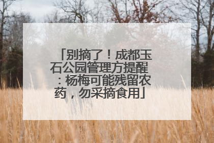 别摘了！成都玉石公园管理方提醒：杨梅可能残留农药，勿采摘食用
