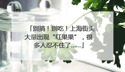 别摘！别吃！上海街头大量出现“红果果”，很多人忍不住了……