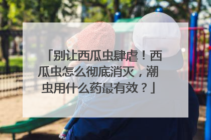 别让西瓜虫肆虐！西瓜虫怎么彻底消灭，潮虫用什么药最有效？