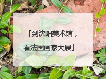 到沈阳美术馆，看法国画家大展