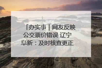 办实事｜网友反映公交票价错误 辽宁阜新：及时核查更正 加强实时巡检