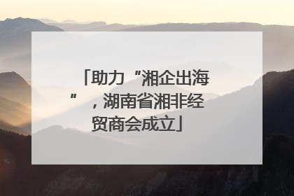 助力“湘企出海”，湖南省湘非经贸商会成立