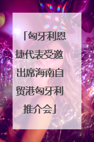 匈牙利恩捷代表受邀出席海南自贸港匈牙利推介会