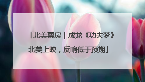 北美票房｜成龙《功夫梦》北美上映，反响低于预期