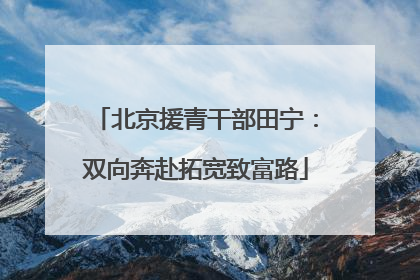 北京援青干部田宁：双向奔赴拓宽致富路