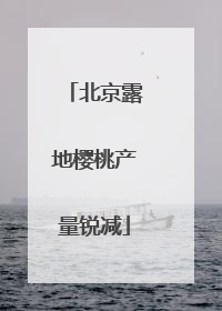 北京露地樱桃产量锐减