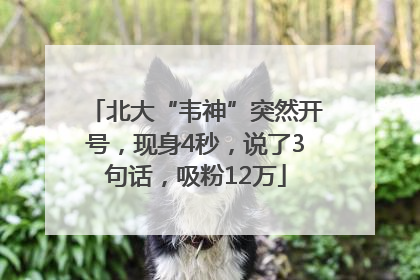 北大“韦神”突然开号，现身4秒，说了3句话，吸粉12万