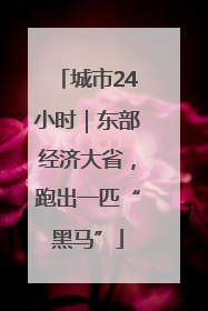城市24小时｜东部经济大省，跑出一匹“黑马”