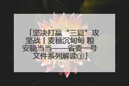 坚决打赢“三夏”攻坚战丨麦穗沉甸甸 粮安稳当当——省委一号文件系列解读①