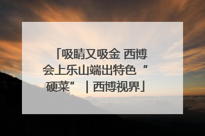 吸睛又吸金 西博会上乐山端出特色“硬菜”｜西博视界