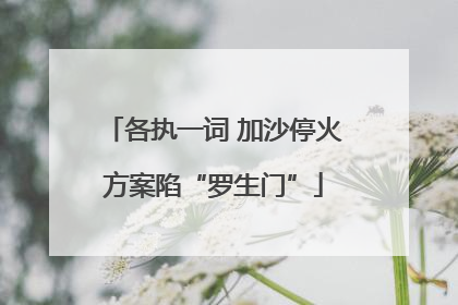 各执一词 加沙停火方案陷“罗生门”