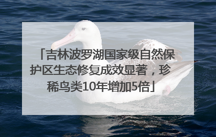 吉林波罗湖国家级自然保护区生态修复成效显著，珍稀鸟类10年增加5倍