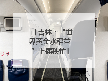 吉林：“世界黄金水稻带”上插秧忙