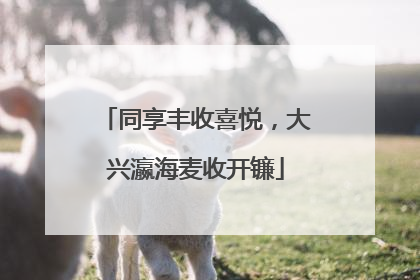 同享丰收喜悦，大兴瀛海麦收开镰
