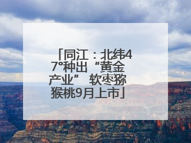 同江：北纬47°种出“黄金产业” 软枣猕猴桃9月上市