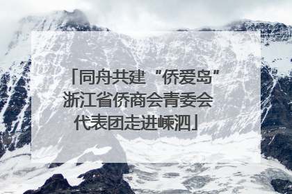 同舟共建“侨爱岛” 浙江省侨商会青委会代表团走进嵊泗