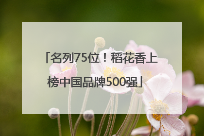 名列75位！稻花香上榜中国品牌500强