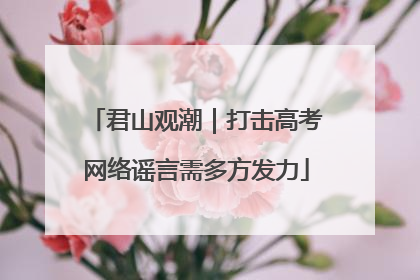 君山观潮｜打击高考网络谣言需多方发力