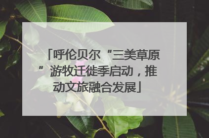 呼伦贝尔“三美草原”游牧迁徙季启动，推动文旅融合发展