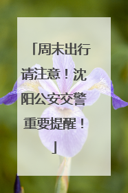周末出行请注意！沈阳公安交警重要提醒！