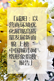 咸阳：以营商环境优化展现高质量发展新面貌 上榜“中国城市网络形象指数”报告