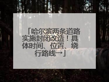 哈尔滨两条道路实施封闭改造！具体时间、位置、绕行路线→