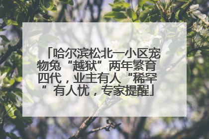 哈尔滨松北一小区宠物兔“越狱”两年繁育四代，业主有人“稀罕”有人忧，专家提醒