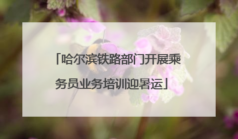 哈尔滨铁路部门开展乘务员业务培训迎暑运
