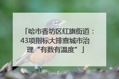 哈市香坊区红旗街道：43项指标大排查城市治理“有数有温度”