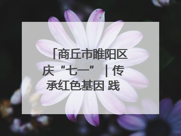 商丘市睢阳区庆“七一”｜传承红色基因 践行初心使命