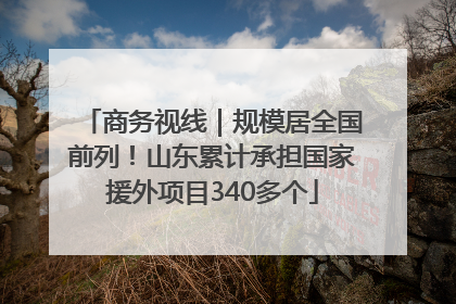 商务视线｜规模居全国前列！山东累计承担国家援外项目340多个