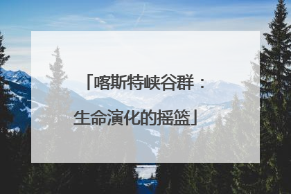 喀斯特峡谷群：生命演化的摇篮