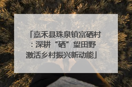 嘉禾县珠泉镇富硒村：深耕“硒”望田野 激活乡村振兴新动能