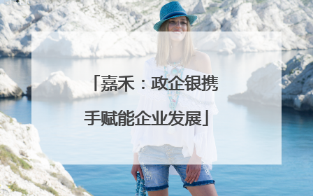 嘉禾：政企银携手赋能企业发展