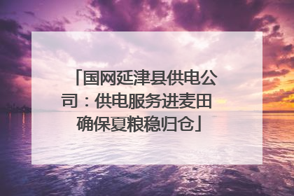 国网延津县供电公司：供电服务进麦田 确保夏粮稳归仓